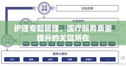 护理专题管理,医疗服务质量提升的关键所在