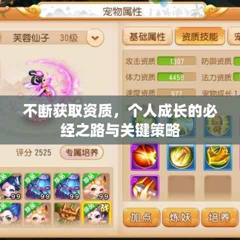 不断获取资质,个人成长的必经之路与关键策略