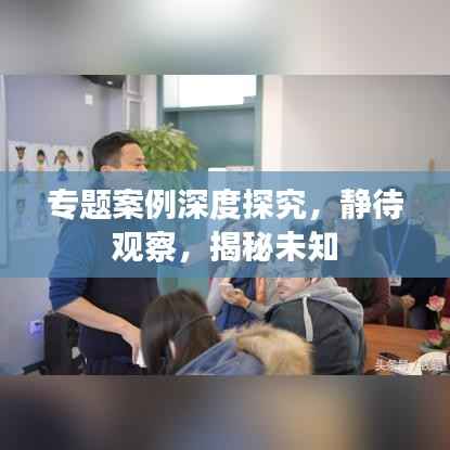 专题案例深度探究,静待观察,揭秘未知
