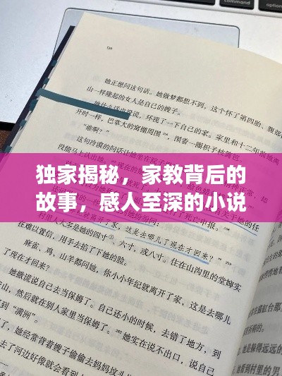 独家揭秘，家教背后的故事，感人至深的小说阅读
