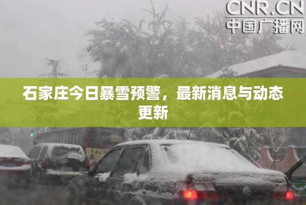 石家庄今日暴雪预警,最新消息与动态更新