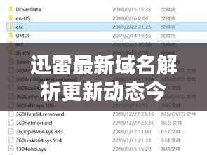 迅雷最新域名解析更新动态今日揭晓