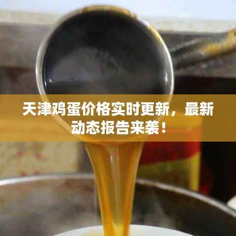 天津鸡蛋价格实时更新,最新动态报告来袭!