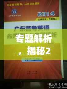 专题解析，揭秘24年专题Vlog的独特魅力