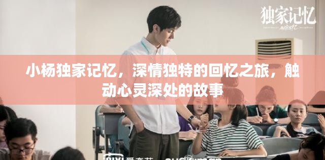 小杨独家记忆，深情独特的回忆之旅，触动心灵深处的故事