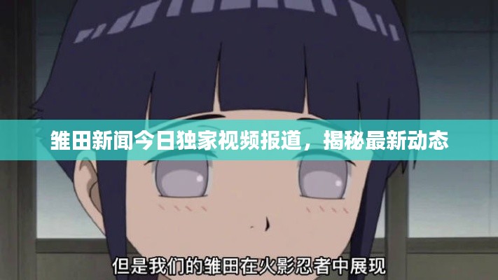 雏田新闻今日独家视频报道,揭秘最新动态