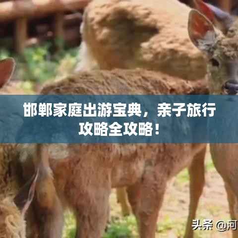 邯郸家庭出游宝典,亲子旅行攻略全攻略!
