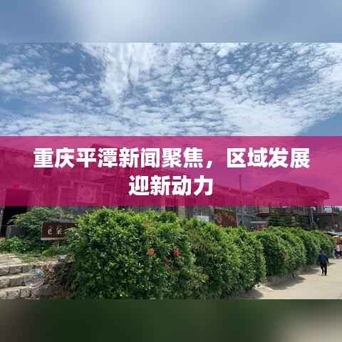 重庆平潭新闻聚焦,区域发展迎新动力