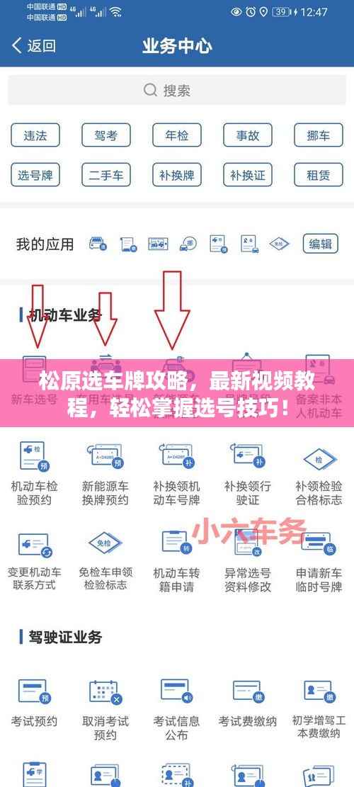 松原选车牌攻略，最新视频教程，轻松掌握选号技巧！