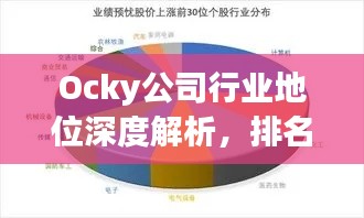 Ocky公司行业地位深度解析,排名分析与市场影响力探讨