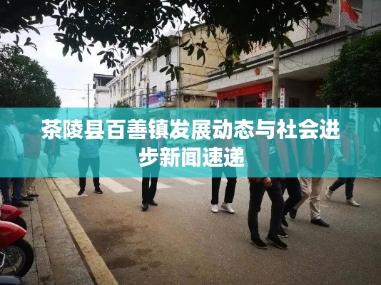 茶陵县百善镇发展动态与社会进步新闻速递
