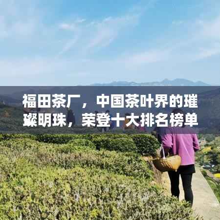 福田茶厂,中国茶叶界的璀璨明珠,荣登十大排名榜单