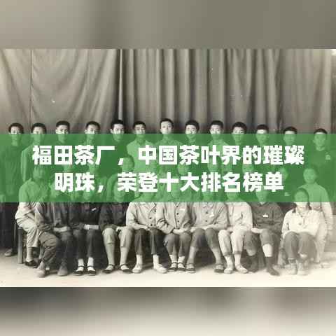福田茶厂,中国茶叶界的璀璨明珠,荣登十大排名榜单