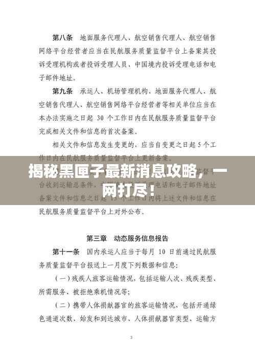 揭秘黑匣子最新消息攻略，一网打尽！