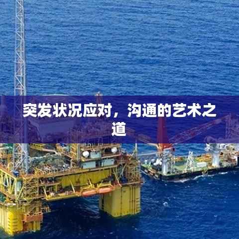 突发状况应对,沟通的艺术之道