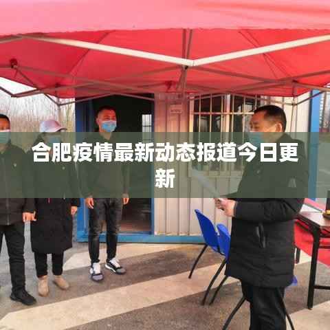 合肥疫情最新动态报道今日更新