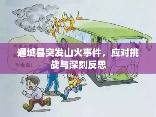 通城县突发山火事件,应对挑战与深刻反思