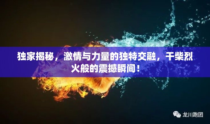 独家揭秘,激情与力量的独特交融,干柴烈火般的震撼瞬间!