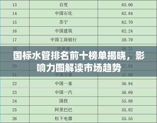 国标水管排名前十榜单揭晓,影响力图解读市场趋势