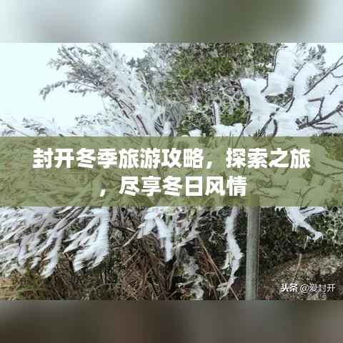 封开冬季旅游攻略,探索之旅,尽享冬日风情
