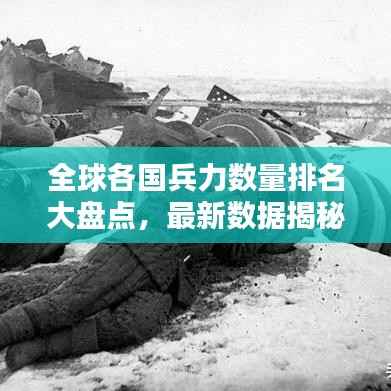 全球各国兵力数量排名大盘点,最新数据揭秘各国军队规模(附排名)