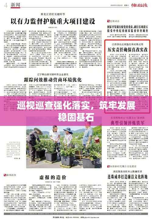 巡视巡查强化落实,筑牢发展稳固基石