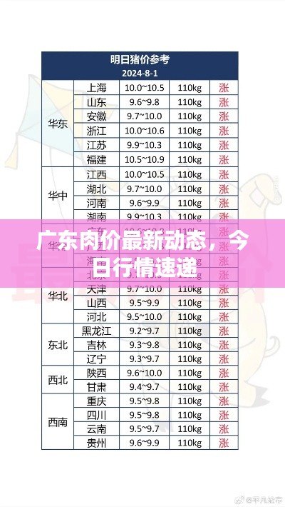 广东肉价最新动态,今日行情速递