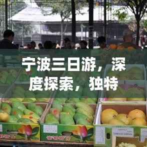 宁波三日游,深度探索,独特体验之旅