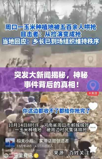 突发大新闻揭秘,神秘事件背后的真相!