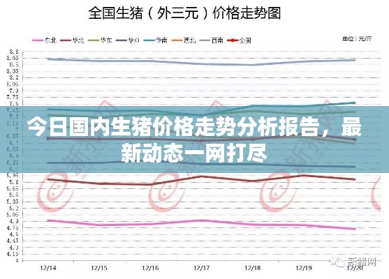 今日国内生猪价格走势分析报告，最新动态一网打尽