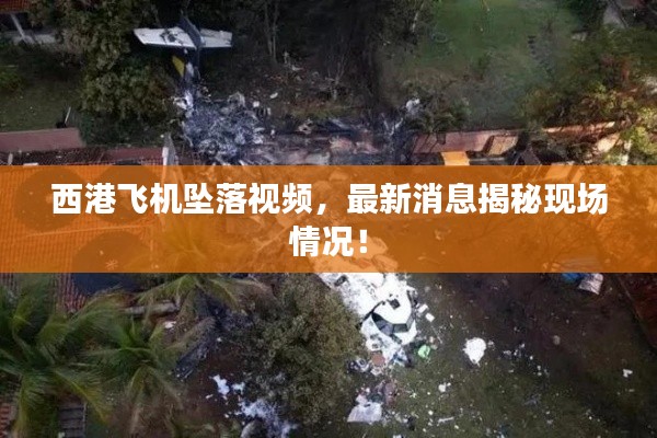 西港飞机坠落视频,最新消息揭秘现场情况!