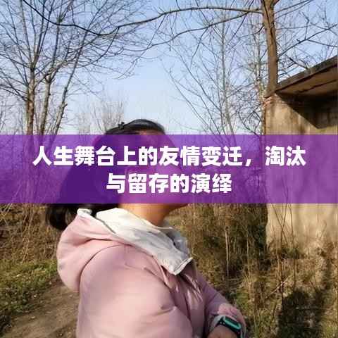 人生舞台上的友情变迁,淘汰与留存的演绎