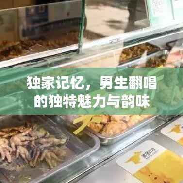 独家记忆,男生翻唱的独特魅力与韵味