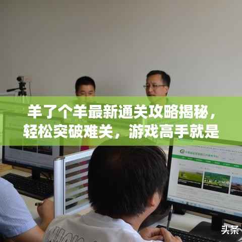 羊了个羊最新通关攻略揭秘,轻松突破难关,游戏高手就是你!