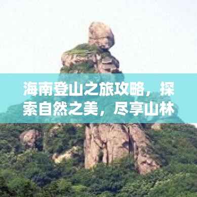 海南登山之旅攻略,探索自然之美,尽享山林盛宴