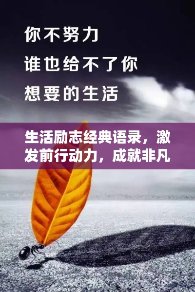 生活励志经典语录,激发前行动力,成就非凡人生