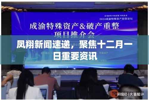 凤翔新闻速递,聚焦十二月一日重要资讯