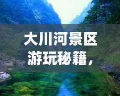 大川河景区游玩秘籍,畅游美景,尽享乐趣!