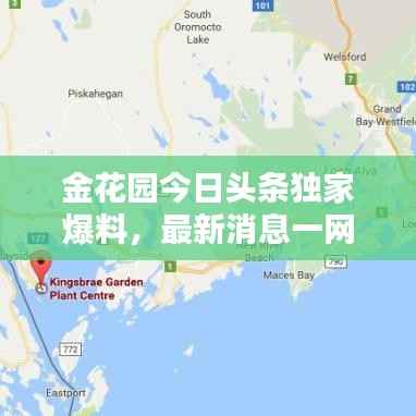 金花园今日头条独家爆料,最新消息一网打尽!