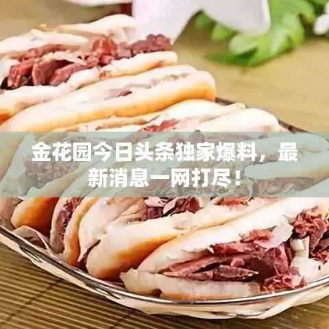 金花园今日头条独家爆料,最新消息一网打尽!