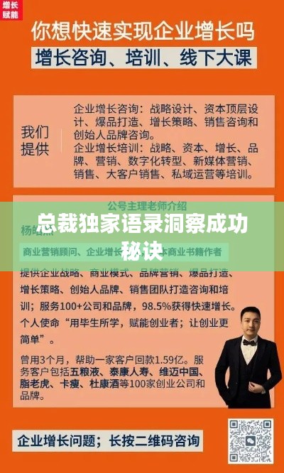 总裁独家语录洞察成功秘诀