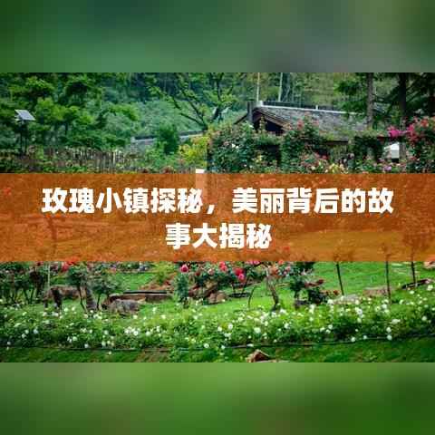 玫瑰小镇探秘,美丽背后的故事大揭秘