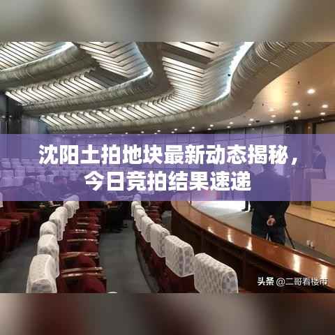 沈阳土拍地块最新动态揭秘,今日竞拍结果速递