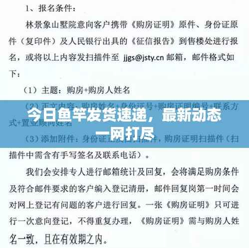 今日鱼竿发货速递,最新动态一网打尽