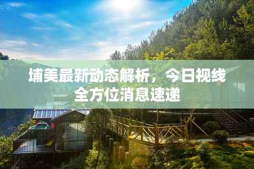 埔美最新动态解析,今日视线全方位消息速递