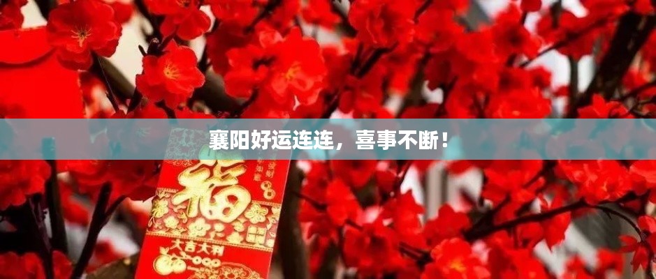 襄阳好运连连,喜事不断!