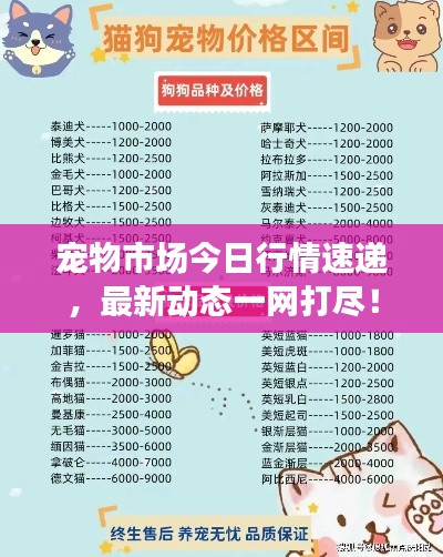宠物市场今日行情速递,最新动态一网打尽!