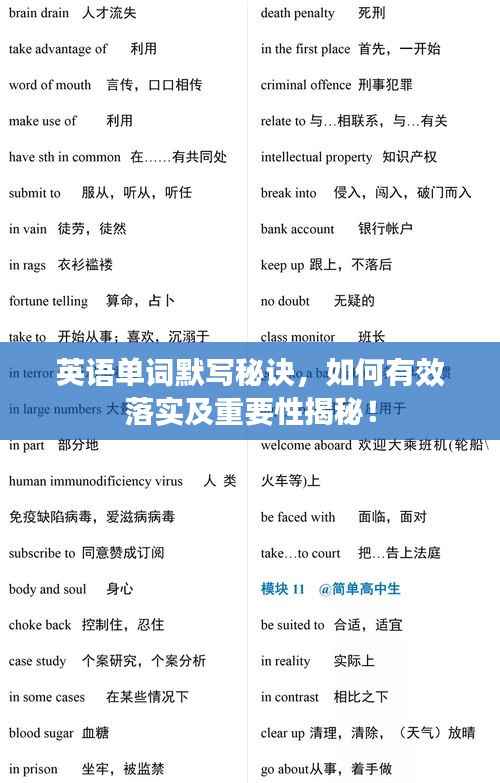 英语单词默写秘诀,如何有效落实及重要性揭秘!