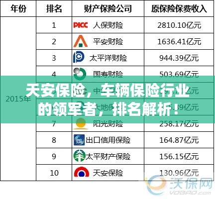 天安保险，车辆保险行业的领军者，排名解析！