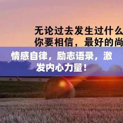 情感自律，励志语录，激发内心力量！